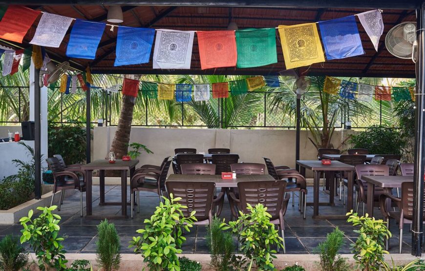 Goa Tours 4Days/3Nights Moustache Goa cowork Hostel