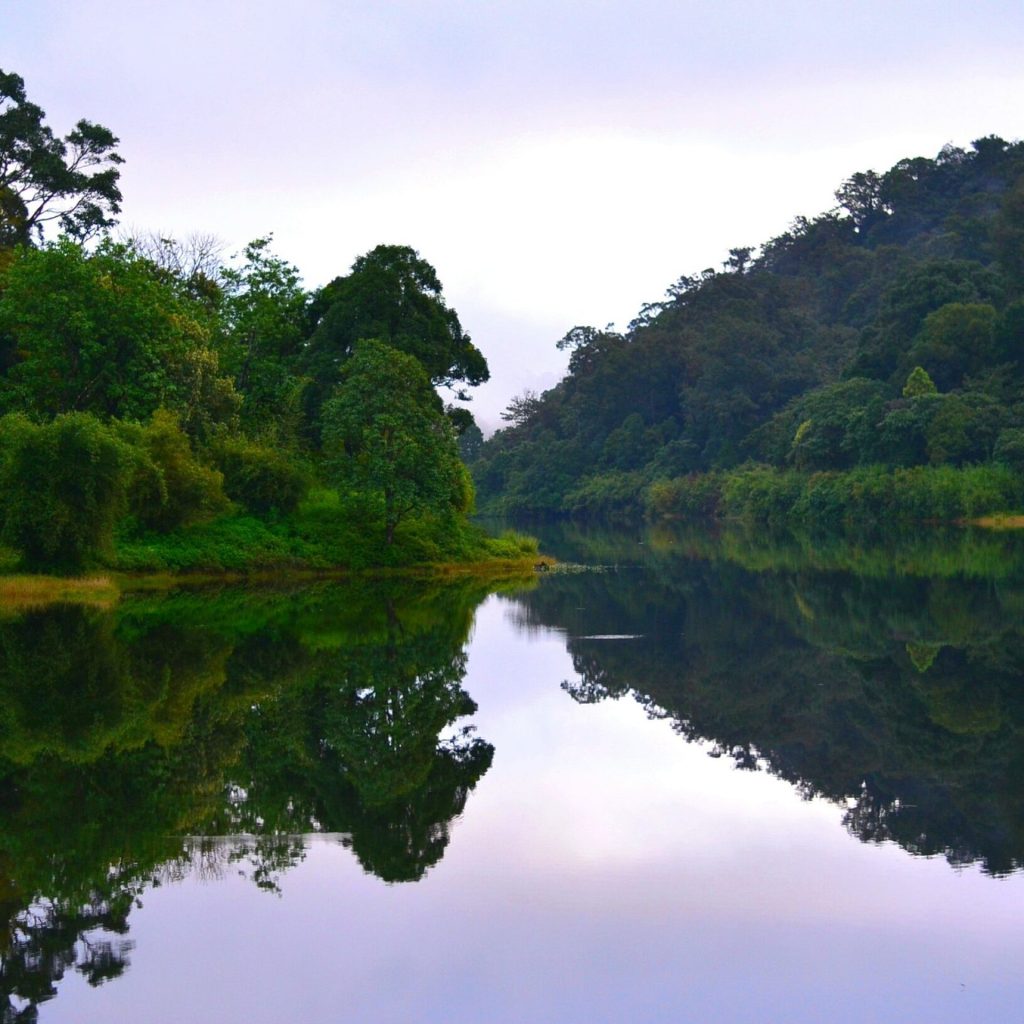 Thekkady